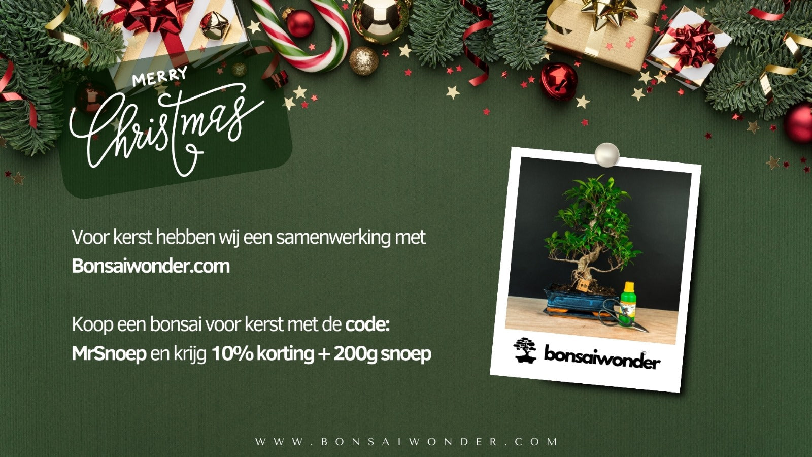 Een feestelijke kerstactie: Mr. Snoep en Bonsaiwonder®